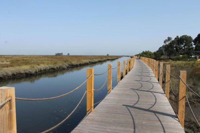 Apartmán Rosa D'Aveiro Exteriér fotografie